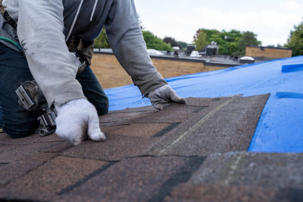 Best Local Roofing Companies  in Archer City, TX