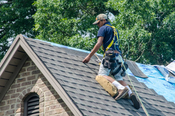 Best Storm Damage Roof Repair  in Archer City, TX